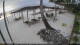 Kiwengwa (Zanzibar) 15.06.2025 07:25