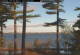 Windham, Maine 11.05.2025 07:26