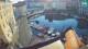 Piran 30.04.2025 07:27