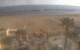Cattolica 01.05.2025 07:49