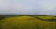 Cape Arkona 30.04.2025 07:27