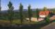 Sulztal 30.04.2025 07:27