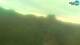 Fažana 09.07.2025 07:27