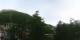 Saas-Fee 15.06.2025 07:14