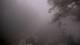 Lourdes 14.06.2025 07:28