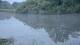Les Landes-Genusson 15.06.2025 07:28