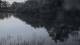 Les Landes-Genusson 30.04.2025 07:28