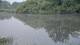 Les Landes-Genusson 09.06.2025 07:28