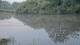 Les Landes-Genusson 12.06.2025 07:28