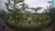Sisak 12.05.2025 07:28