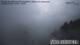 Stuben 13.05.2025 07:29