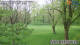Husum 30.04.2025 07:30