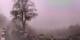 Lourdes 15.06.2025 07:28