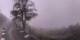 Lourdes 15.07.2025 07:32
