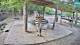 Lubiana 30.04.2025 07:29