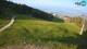 Krvavec 15.06.2025 07:28