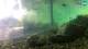 Brijuni 08.07.2025 07:28