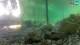Brijuni 30.04.2025 07:29