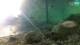 Brijuni 15.06.2025 07:28