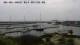 Anholt 29.04.2025 07:29