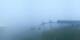 Prarion 08.07.2025 07:19