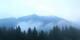 Morgins 19.04.2025 07:20