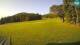 Sorica 09.06.2025 07:29