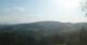 Zierling 02.07.2025 07:29