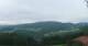 Zierling 03.07.2025 07:29