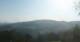 Zierling 03.07.2025 07:29