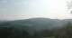 Zierling 15.06.2025 07:29
