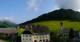 Hohentauern 09.06.2025 07:29