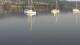 Uster 09.06.2025 07:49