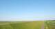 Westerhever 01.07.2025 07:31
