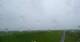 Westerhever 09.06.2025 07:31