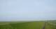 Westerhever 15.06.2025 07:31