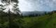 Luchsingen 15.06.2025 07:31
