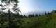 Luchsingen 09.06.2025 07:31