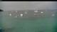 Les Anses-d'Arlet 30.04.2025 07:37