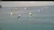 Les Anses-d'Arlet 30.04.2025 07:37
