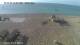 Pagham 15.07.2025 07:34
