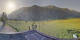 Tubre 15.06.2025 07:33