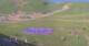 Kuzun 19.05.2025 07:33