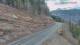 Needleton, Colorado 30.04.2025 07:33