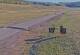 Creede, Colorado 08.06.2025 07:36