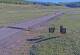 Creede, Colorado 14.06.2025 07:36