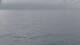 Mein Schiff Relax 09.06.2025 07:34