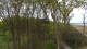 Markgrafenheide 30.04.2025 07:35