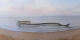 Saint-Brevin-les-Pins 30.04.2025 07:11