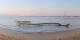 Saint-Brevin-les-Pins 14.06.2025 07:03